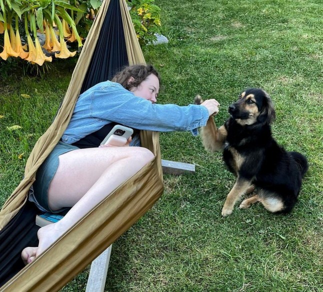 Mirelle Radley with Paddington the dog. Photo released June 16 2025. A British backpacker raised ?18k to bring a stray dog back from Peru after it stayed outside her cabin all night and refused to leave her side. Mirelle Radley, 29, was travelling through South America with her cousin, Adam Radley, 40, an energy and sustainability facilitator, in April 2025 when the pair stopped at a village called Ollantaytambo. While Mirelle was laying in a hammock reading, she felt something nip her and noticed a stray - which they believe to a shepherd-mix - wanting her attention. Mirelle instantly fell in love with the pooch - who followed her around for the rest of her trip - and affectionately named him Paddington after the fictional bear from the same country.