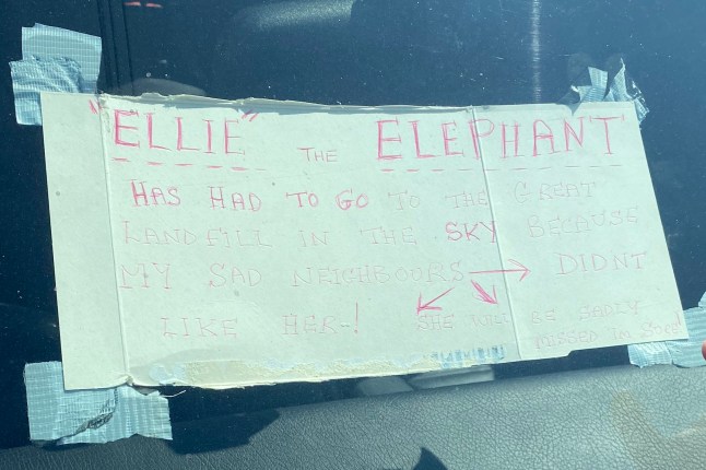A sign that Richard wrote regarding the council confiscating the elphant slide. Release date June 19 2025. A fuming pensioner says he will "pay any money" to get his beloved 20ft-long elephant slide back - after a council confiscated it. The decades-old fibreglass play equipment was taken away from Trevor Robinson's home after complaints from neighbours, he claims. The 71-year-old had the 8ft tall slide delivered after spotting sub-contractors preparing to remove it from a nearby leisure park in Gillingham, Kent two months ago. Trevor, who lives in the suburb of Twydall, had initially planned to create a pond in his back garden for the slide - named Ellie - so children in the neighbourhood could use it.
