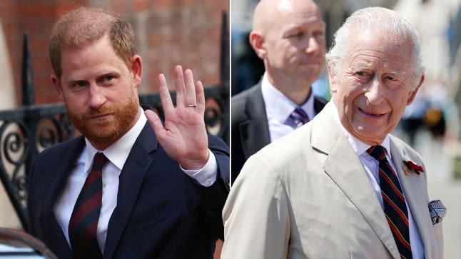Prince Harry and King Charles