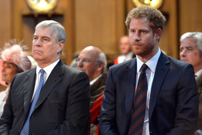 LONDON, ENGLAND - JUNE 10: Prince Andrew, Duke of York and Prince Harry during a reception at the Guildhall following the National Service of Thanksgiving for Queen Elizabeth II's 90th birthday at St Paul's Cathedral on June 10, 2016 in London, United Kingdom. (Photo by Hannah McKay - WPA Pool/Getty Images)
